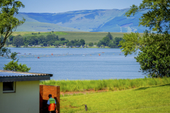 Midmar_2025_0D3A2908_N_Tostee