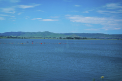 Midmar_2025_0D3A3009_N_Tostee
