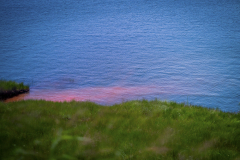 Midmar_2025_0D3A3028_N_Tostee