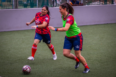 54757471319_7a905372f3_c
